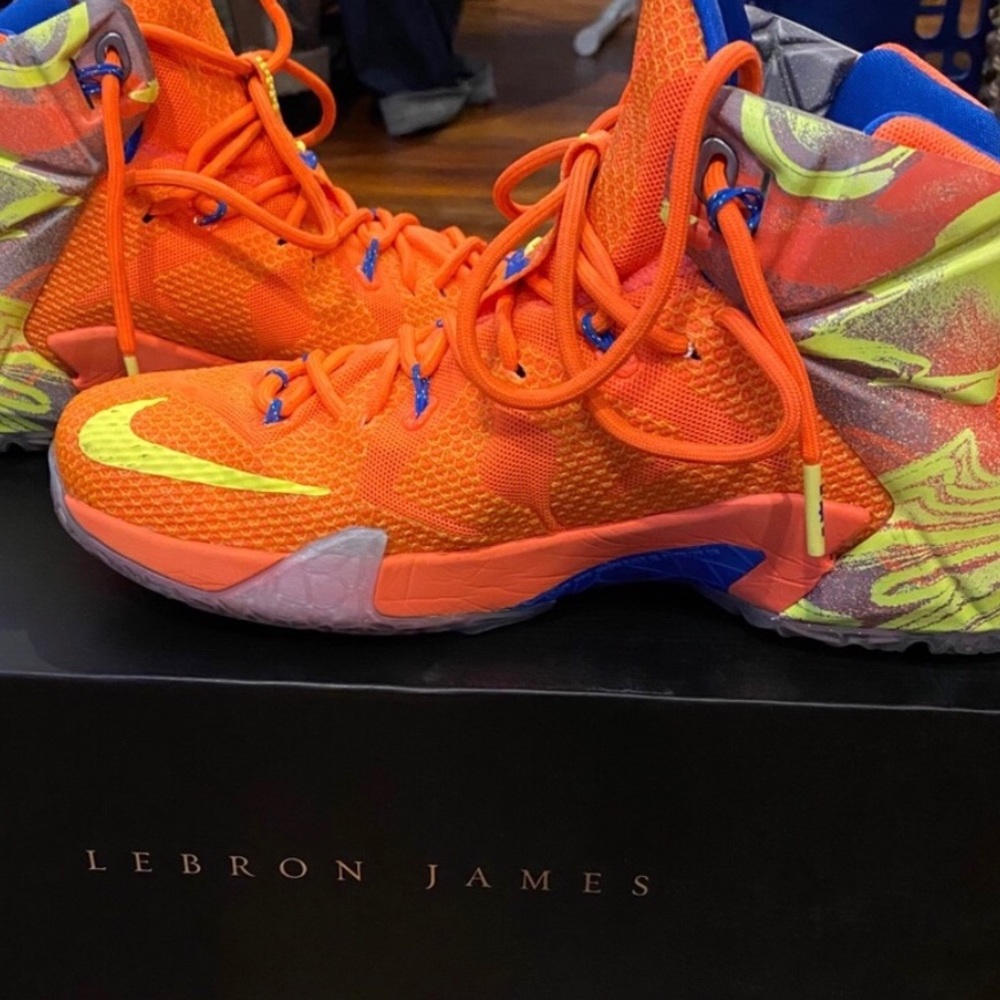 Lebron James XII 12 Six Meridians size 9